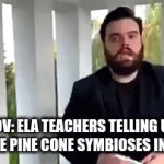 they be saying the most wild stuff | POV: ELA TEACHERS TELLING US WHAT THE PINE CONE SYMBIOSES IN A BOOK. | image tagged in gifs,funny,relatable | made w/ Imgflip video-to-gif maker