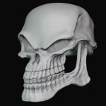 Funny skull