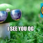 Deal With it Mushroom | I SEE YOU OG | image tagged in deal with it mushroom | made w/ Imgflip meme maker