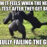 Gorilla throwing human | HOW IT FEELS WHEN THE NERD IS IN A TEST AFTER THEY GET BULLIED; THE BULLY FAILING THE GRADE | image tagged in gorilla throwing human | made w/ Imgflip meme maker