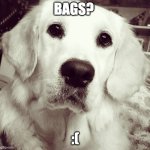 Golden Retriever | BAGS? :( | image tagged in golden retriever | made w/ Imgflip meme maker