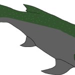 Male Dunkleosteus (Paleoverse + EOIverse)