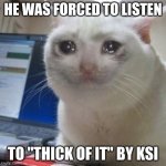 Thick of it - ksi | HE WAS FORCED TO LISTEN; TO "THICK OF IT" BY KSI | image tagged in crying cat,thick of it,ksi,music,funny,memes | made w/ Imgflip meme maker