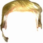 Trump hair