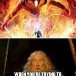 LoTR Door Bell | WHEN YOU’RE TRYING TO WATCH LOTR AND THE DOORBELL GOES | image tagged in gandalf vs balrog | made w/ Imgflip meme maker