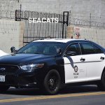 police car