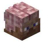 Minecraft Brain template