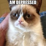 Cat | ME WHEN I AM DEPRESSED | image tagged in memes,grumpy cat | made w/ Imgflip meme maker