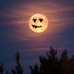 Happy Spooktober -- come visit Memes_Without_Words | image tagged in full moon,ad,halloween,pumpkin,holidays | made w/ Imgflip meme maker