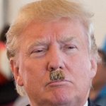 TRUMP HITLER