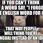 Smudge that darn cat | IF YOU CAN'T THINK OF A WORD SAY, "I FORGOT THE ENGLISH WORD FOR IT"; THAT WAY PEOPLE WILL THINK YOU'RE BILINGUAL INSTEAD OF AN IDIOT | image tagged in smudge that darn cat | made w/ Imgflip meme maker