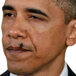 OBAMA KISSES FLY meme