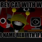 Bruh | THE GREY CAT WITH WHITE :; POOR CAT (HER NAME REBIRTH IF I DON’T KNOW) | image tagged in me | made w/ Imgflip meme maker