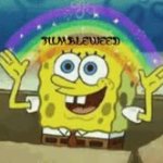 Spongebob gif GIF Template