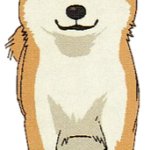 Jimihen