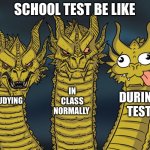 Three-headed Dragon | SCHOOL TEST BE LIKE; IN CLASS NORMALLY; DURING TEST; STUDYING | image tagged in three-headed dragon | made w/ Imgflip meme maker