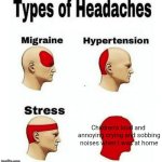 THEIR CRYING AND SOBBING WERE ANNOYING AS F- | Children's loud and 
annoying crying and sobbing noises when I was at home | image tagged in types of headaches meme | made w/ Imgflip meme maker