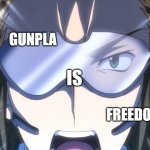 Gundam meme | GUNPLA; IS; FREEDOM | image tagged in gunpla is freedom | made w/ Imgflip meme maker