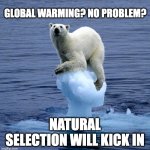 Global Warming Polar Bear | GLOBAL WARMING? NO PROBLEM? NATURAL SELECTION WILL KICK IN | image tagged in global warming polar bear | made w/ Imgflip meme maker