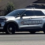 police car