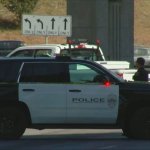 police car