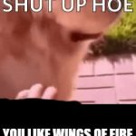 shut up hoe you like wings of fire GIF Template