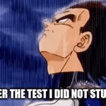 Me sad | ME AFTER THE TEST I DID NOT STUDY FOR. | image tagged in gifs,vegeta | made w/ Imgflip video-to-gif maker