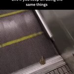 Life If You Keep Doing The Same Things | image tagged in gifs,life if you keep doing the same things | made w/ Imgflip video-to-gif maker