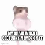 My brain when i see funny memes on youtube | MY BRAIN WHEN I SEE FUNNY MEMES ON YT | image tagged in gifs,memes,cat,youtube | made w/ Imgflip video-to-gif maker