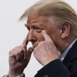 Trumps brain