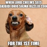 https://www.skibidiohiosigmarizzlercoin.com/memes