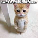 I know at least one of you did this | ME ASKING IF I COULD BY SOMETHING WITH MY PARENTS MONEY | image tagged in memes,cute cat | made w/ Imgflip meme maker