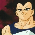 Vegeta Disapproves