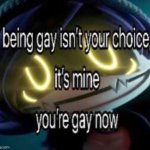 Being gay isn't your choice, it's mine. You're gay now meme