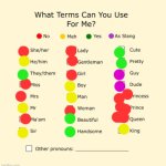 Pronouns Sheet | image tagged in pronouns sheet | made w/ Imgflip meme maker