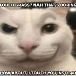 touching cat meme