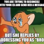 When you get bro-zoned by your ex | YOU ARE TRYING TO RECONCILE WITH YOUR EX AND SEND HER A MESSAGE; BUT SHE REPLIES BY ADDRESSING YOU AS "BRO" | image tagged in jerry crying,relatable,relationships,memes,sad,so true | made w/ Imgflip meme maker