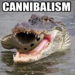 What a Croc meme