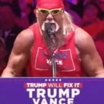 Hulk Hogan