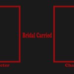 X Bridal Carries Y
