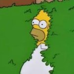 Homer retreating into the bush