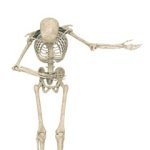 Skeleton bow