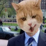 You know, I'm something of a cat myself