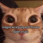 Spider meme