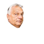 Viktor Orban's head