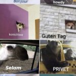 my neighbors house is swarming with cats! | MY ONE CAT: MEOW; ME: *OPENS BAG OF CAT NIP*
ALL THE OTHER CATS: | image tagged in bonjour howdy konichiwa guten tag selam privet kamisaki hej | made w/ Imgflip meme maker