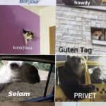 bonjour, howdy, konichiwa, guten tag, selam, privet, terve, sivu
