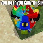 Comment what you would do | WHAT WOULD YOU DO IF YOU SAW THIS IN MINECRAFT? | image tagged in crazy parrot,parrot,cursed | made w/ Imgflip meme maker