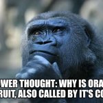 I wanna know :( | SHOWER THOUGHT: WHY IS ORANGE THE FRUIT, ALSO CALLED BY IT'S COLOR? | image tagged in deep thoughts | made w/ Imgflip meme maker