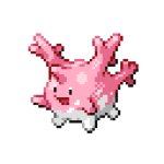 corsola meme